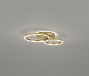 ODELIC I[fbN LEDVfA(Rʔ) OC257243BC