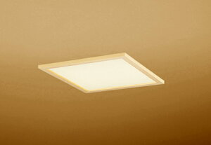 ODELIC I[fbN LEDaV[OCg OD301208P2E