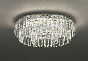 OC257136BCR ODELIC �I�[�f���b�N �y���[�J�[�����z LED�V�����f���A2����