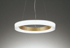 OC257208BR ODELIC �I�[�f���b�N �y���[�J�[�����z LED�y���_���g