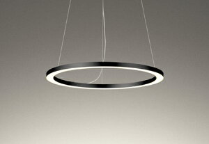 OC257221R ODELIC �I�[�f���b�N �y���[�J�[�����z LED�V�����f���A