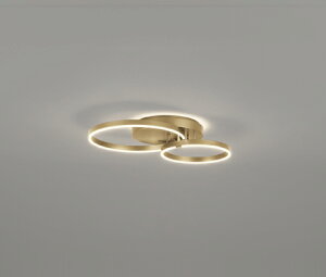 OC257243BC ODELIC �I�[�f���b�N �y���[�J�[�����z LED�V�����f���A