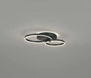 OC257246BC ODELIC �I�[�f���b�N �y���[�J�[�����z LED�V�����f���A