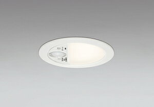 OD261905R ODELIC �I�[�f���b�N �y���[�J�[�����z LED�_�E�����C�g