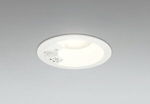 OD261942R ODELIC �I�[�f���b�N (OS) �y���[�J�[�����z LED�_�E�����C�g