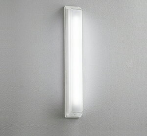 OG254099R ODELIC �I�[�f���b�N �y���[�J�[�����z LED�|�[�`���C�g