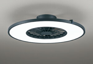 OL291275BR ODELIC �I�[�f���b�N �y���[�J�[�����z LED�V�[�����O���C�g