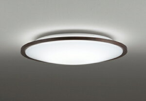OL291318R ODELIC �I�[�f���b�N �y���[�J�[�����z LED�V�[�����O���C�g