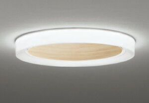 OL291662BR ODELIC �I�[�f���b�N �y���[�J�[�����z LED�V�[�����O