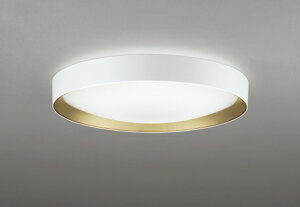 OL291787BR ODELIC �I�[�f���b�N �y���[�J�[�����z LED�V�[�����O