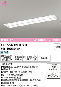 XD566091R2B ODELIC �I�[�f���b�N (OE) �����v�ʍ��� NO442RB 40S/N/34/G13/R90