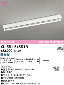 XL551645R1B ODELIC �I�[�f���b�N �y���[�J�[�����z �����v�ʍ��� NO441RB 40S/N/25/G13/R90