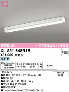 XL551648R1B ODELIC �I�[�f���b�N �y���[�J�[�����z �����v�ʍ��� NO441RB 40S/N/25/G13/R90