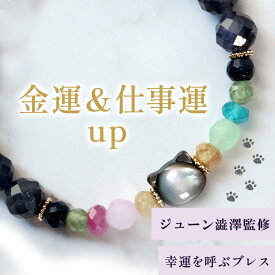 【最大2500円OFF★12/11まで】【超人気占い師監修】 パワーストーン ブレスレット 金運 仕事運 開運 魔除け 天然石 ブラックタイガーアイ ジューン澁澤 シャドーキャットタロット 黒猫 レディース 可愛い 日本製 Liisha リーシャ 送料無料