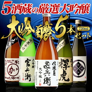 単品合計価格10,800円が衝撃の50%OFFの5,400円!!日本酒の最高ランク バイヤー渾身の大吟醸720ml 5本セット 4合瓶 四合瓶 清酒 長S ギフトセット 日本酒 限定 贈答用 飲み比べ 中元 歳暮