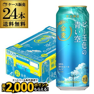 ܖ2026/2̖󂠂݌ɏ AEgbgTg[  r[ʐF̐500ml×24{ (1P[X) ʌ ċG G[^Cv VW Y SUNTORY 3̐ r[eCXg S