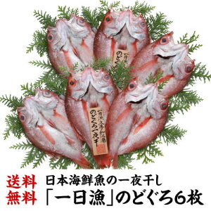  uv ̂ǂ 銱 6 1,400g ̂ǂ ނ  Ђ ċ Ɠۂ   蕨 MtgYn Ⓚ  x (Y)