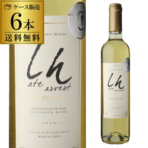 1{1,100~(ō)  Ch~^ Cgn[xXg [2024] 500 ml 6{` JTuJ@[ P[X S