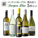 ぶどう品種で楽しむ　ソーヴィニヨン・ブラン　ワイン5本セット 第15弾【送料無料】[ワインセット][白 ワインセット] 浜運