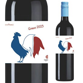 ヴァンドフランス ガメイ ルージュ 2023 フランス 赤ワイン 長S ホワイトデー お花見 手土産 お祝い ギフト アウトレット 父の日