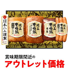 賞味期限2026/3/20以降のため5,400円→処分価格2,700円(税込) フードロス削減 訳あり 在庫処分 アウトレット 日本ハム 本格派 吟王ギフトセット FS-500 750g 4種 賞味期限 間近 送料無料 産地直送 (産直)