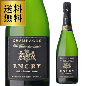 �������� �G���N���~���W�� �u���� �h �u���� �O���� �N���� [2016] ���K�i ���Ȃ� 750ml �R�[�g �f �u���� �V�����p�[�j�� �h�� �V�����p�� �l�^