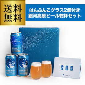 父の日 遅れてごめんね ビールギフト ビールセット プレゼント 2025お父さんと乾杯！思い立ったが父の日by銀河高原ビール 専用グラス付き 父の日限定デザインセット 350ml×3本 グラス2個 ヤッホーブルーイング クラフトビール RSL