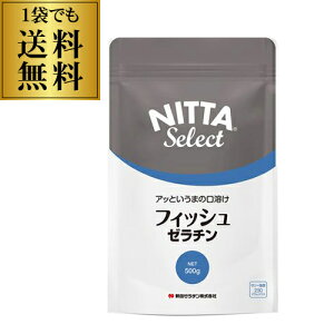 y1܂łzVc[` tBbV[` 500g×1 Y R( ) [[ޗ S