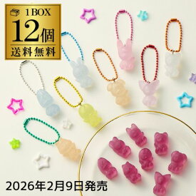 【メーカーラスト在庫入荷】バンダイ SKZOO グミ＆チャーム 12個 BOX販売 食玩 Stray Kids 大人買い 虎S