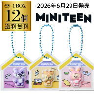 【予約 2026/6/29発売】バンダイ MINITEEN パッケージチャーム&グミ 12個 BOX販売 食玩 SEVENTEEN 大人買…