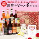 母の日 遅れてごめんね 母の日カード&カーネーション付き 世界のフルーツ&ホワイトビール8本+専用グラスセット 送料無…