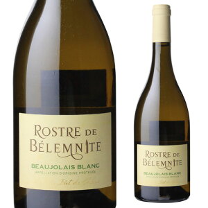 {W[ u Xg h xiCg 2020 sG[ h 750ml tX uS[j {W[ C l^