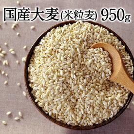 国産 米粒麦 950g 送料無料 β-グルカン 食物繊維 豊富 米粒麦 今話題の食物繊維ベータグルカンも含有《3-7営業日以内に出荷（土日祝除く）》