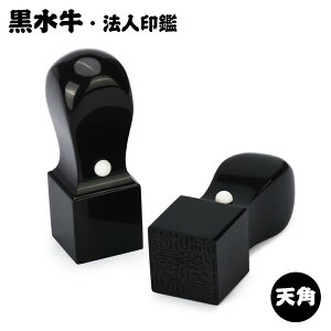 @l  p Vp^Cv Pi Ј p  Vp 21.0mm/24.0mm Д Ј @l @l  