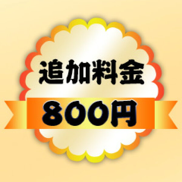 【追加料金ページ】選択肢に 「＋〇〇円」との追加料金について、ご決算の際、楽天システムに自動的に加算できないので、この追加料金用ページを商品と一緒にご購入いただければ、ポイント変倍などのキャンペーンがご参加できて、追加料金分もポイントでお支払えます。