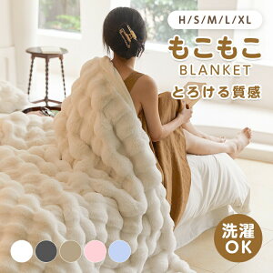 もこもこ毛布 ふわとろ ブランケット フランネル生地 洗濯機対応 軽量 マイクロファイバー 静電気防止 秋冬 プレゼント ギフト(T)