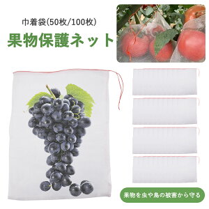 ʕی ʕیobO ʎh ʎ Q bVobO h lbg   悯 h ʋC В 50Zbg 35cm×25cm В 悯 |pi K[fjO