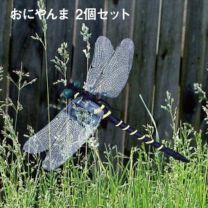  Ij} 2Zbg 悯 ɂ St g{ Lv BBQ oniyanma