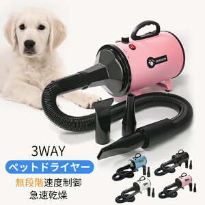 ybghC[  phC[ ybgphC[ u[ iKx @ 3mYt Ax\ u[ ጸlFy^A^ɍœKzy