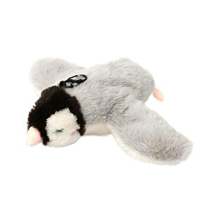 L    XgXU ^b`N  Lp lR A V ^s  L炵 dH΂ XY Ht  V~[V s Lǂ