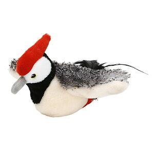 L    XgXU ^b`N  Lp lR A V ^s  L炵 dH΂ XY Ht  V~[V s Lǂ