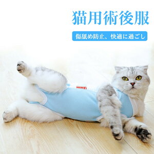 Lpp㕞 p ybgpp㕞 pi Lp p _炩 y rߖh~ p ޖh~ 앞 Rbg 畆ی ybgpi ^ ^ ^ Lp r  r