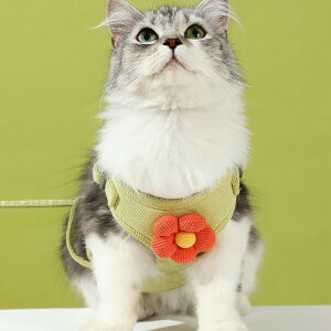 Lp  n[lX ybgp Lp  U o n[lX  hbO n[lX L 铹 Ȃ bV  Up[h U \tg pn[lX [h ^ ^ 