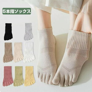 fB[X 5{w\bNX Xj[J[ 5{wC 5g  ʋChL v Ԃ p wl tďH Ȃ bV JWA X|[c ܖ{wC 22-25cm