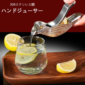 ƒp nhW[T[ 蓮 W[T[ IW/i y 304XeX|