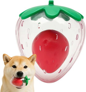   o邨 C`S ނ  ^`^܂ łɂ p 􂦂 ϋv  ł ߋ  ^sp