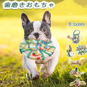 ybgp  p ybgp  O  ̂ [v z ǖ[v ϋv p ނ ybg ^ ^ ̃PA   _炩 \tg m