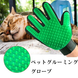 yzybg  O[~O O[u  uV   ы   L ybgp pr O[~O }bT[W O[u o[ 24x18cm/ ybgp O[~O