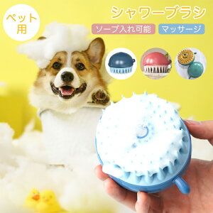 yzV[uV ybgpuV}bT[W ˋN oXuV {fBuV CpuV  oXp \[v VR _炩 e͐ ϋv tz 畆ah~ 