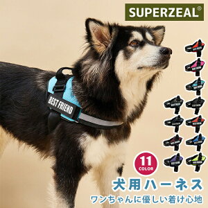 yz  n[lX O  l[ qD O ^ ^ ^  CjV Ԕ _炩 ʋC ȒP }WbNe[v TCY\ nht 